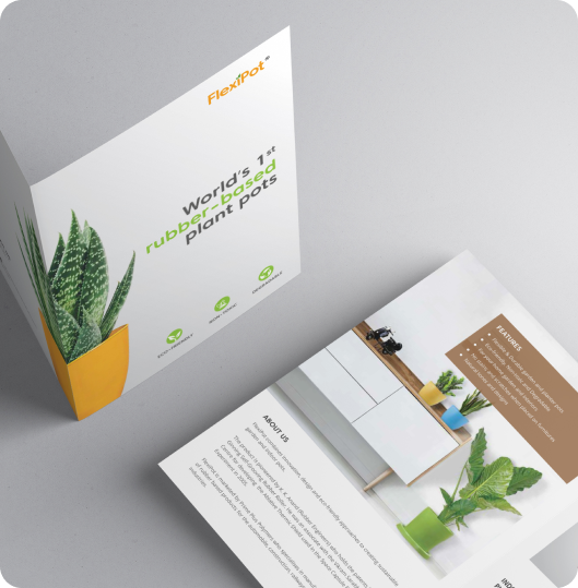 Brochure Mockup